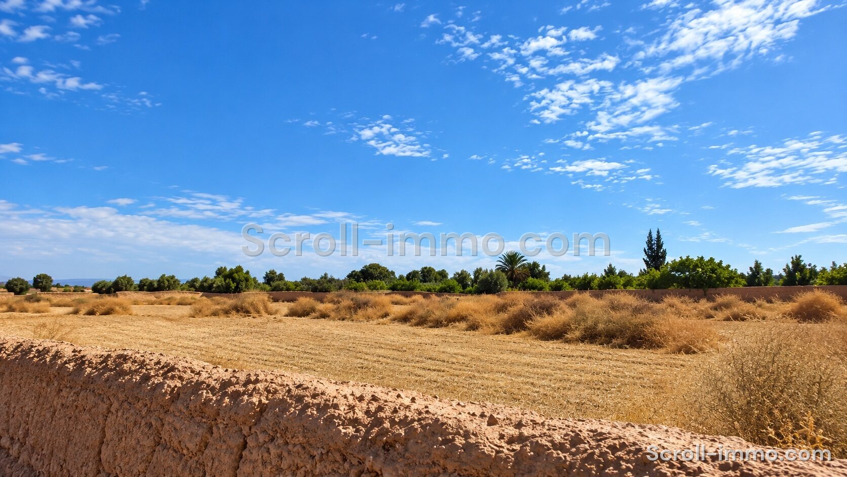 bien-20261016221634-5bd607 Terrain titré – 20000m² à Route de l’Agafay