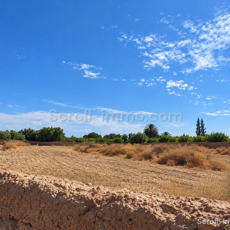 Terrain titré – 20000m² à Route de l’Agafay