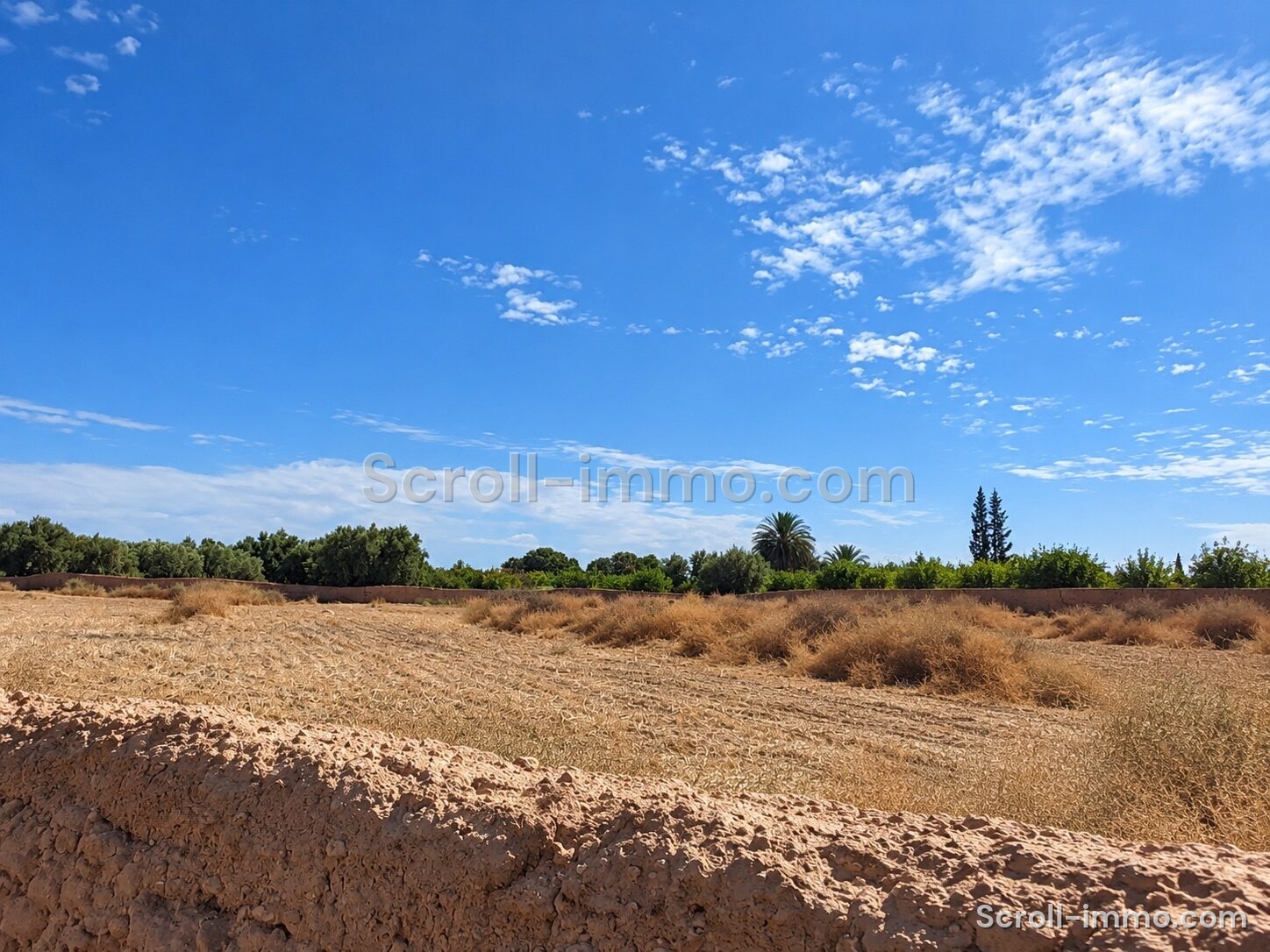 Terrain titré – 20000m² à Route de l’Agafay