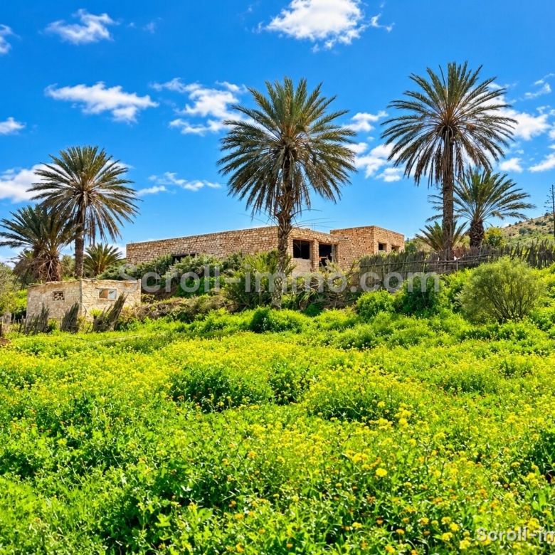 Villa semi fini au cœur de la nature – 200m² à Essaouira