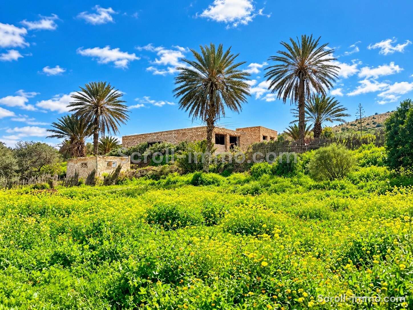 Villa semi fini au cœur de la nature – 200m² à Essaouira